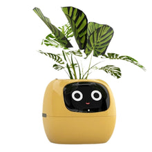 Load image into Gallery viewer, Wavewise™ - Tuya Ivy Smart Planter
