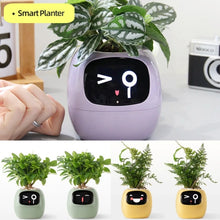 Load image into Gallery viewer, Wavewise™ - Tuya Ivy Smart Planter
