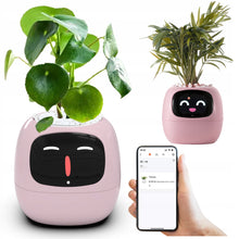 Load image into Gallery viewer, Wavewise™ - Tuya Ivy Smart Planter
