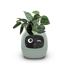 Load image into Gallery viewer, Wavewise™ - Tuya Ivy Smart Planter
